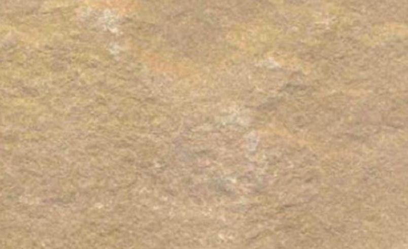 Camel Dust Sandstone