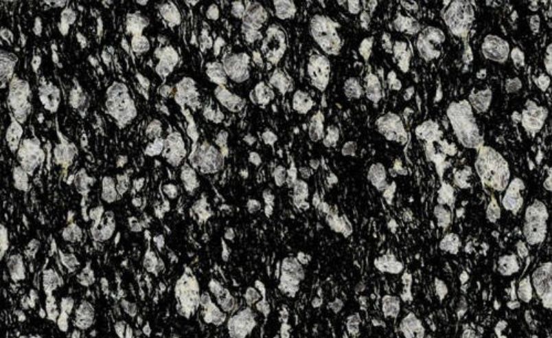Coral Black