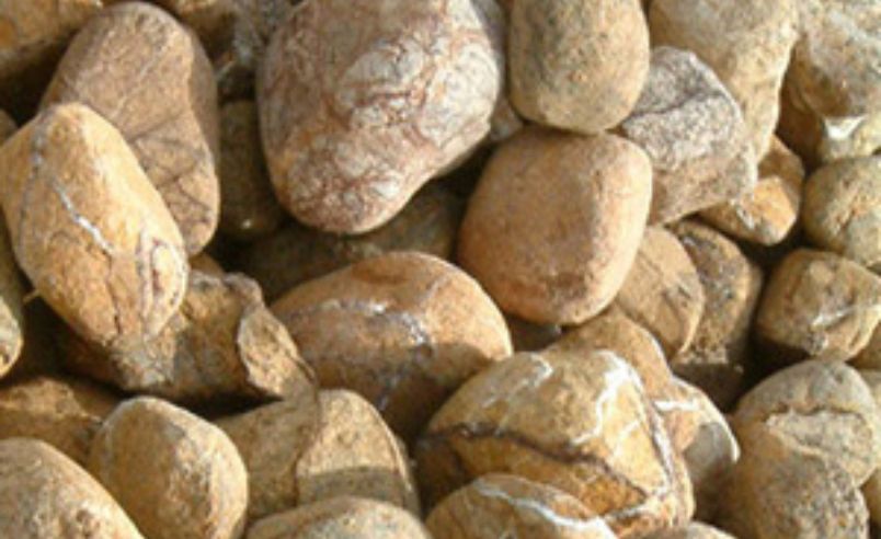 Forest Brown Pebbles