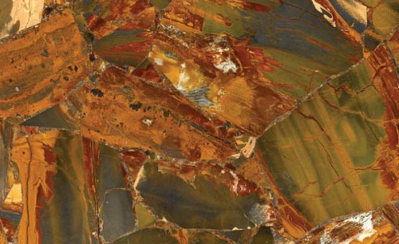 Jamaica Jasper