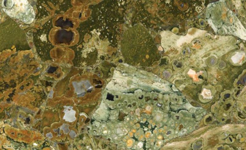 Jungle Jasper