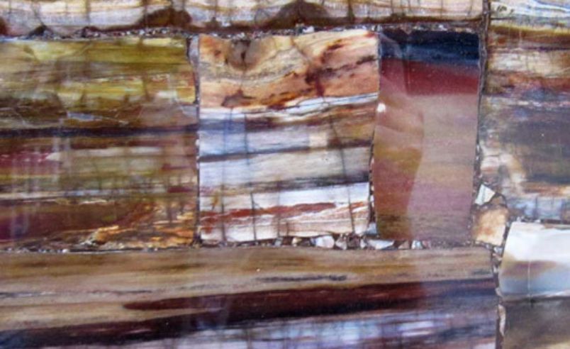 Long Cut Pertrified Wood