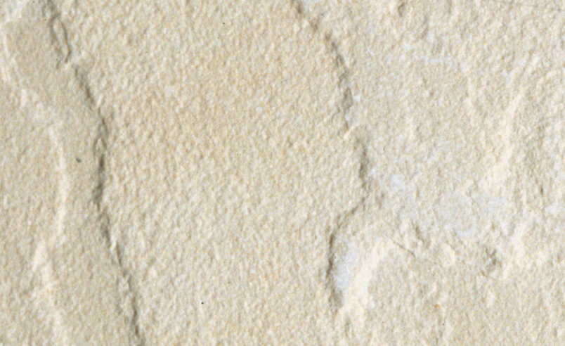 Mint C Sandstone
