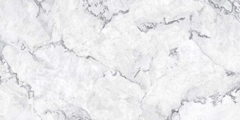 Oyster Bianco