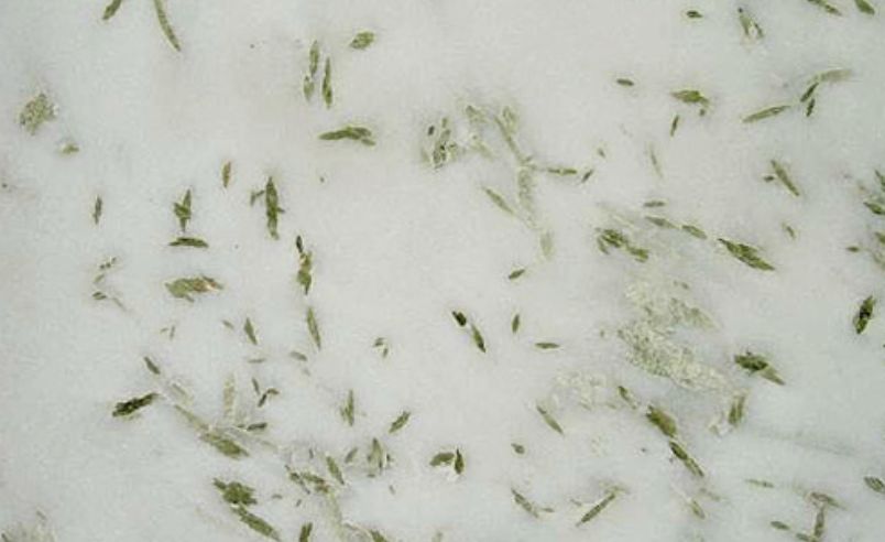 Pista Marble