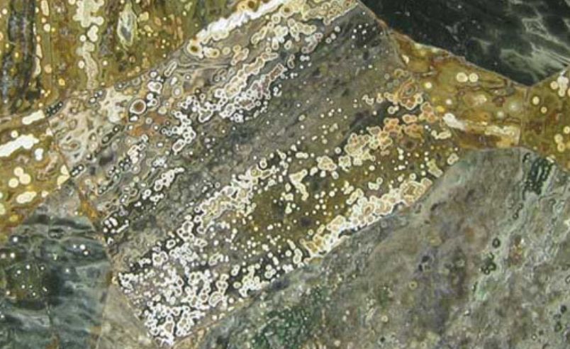 Sea Jasper