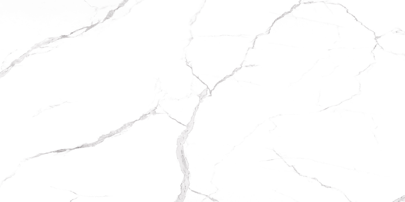 Suite Carrara