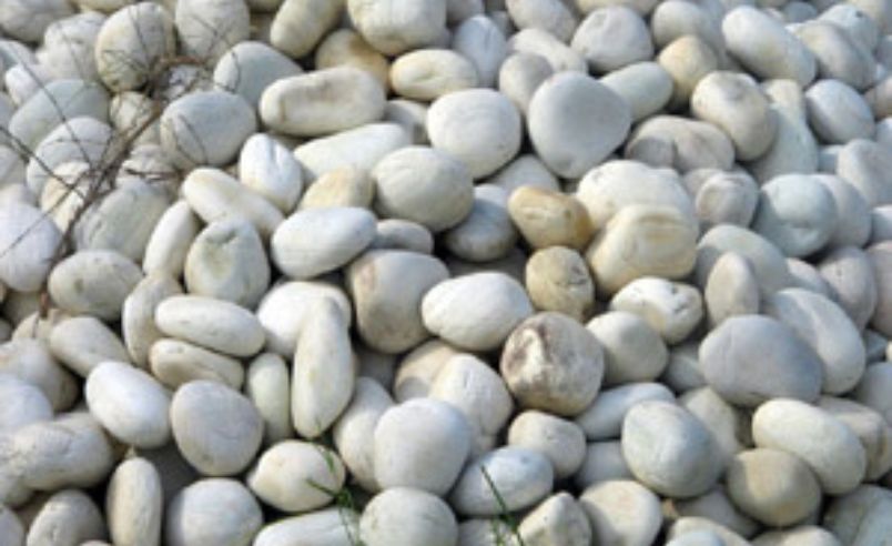 White Natural River Pebbles