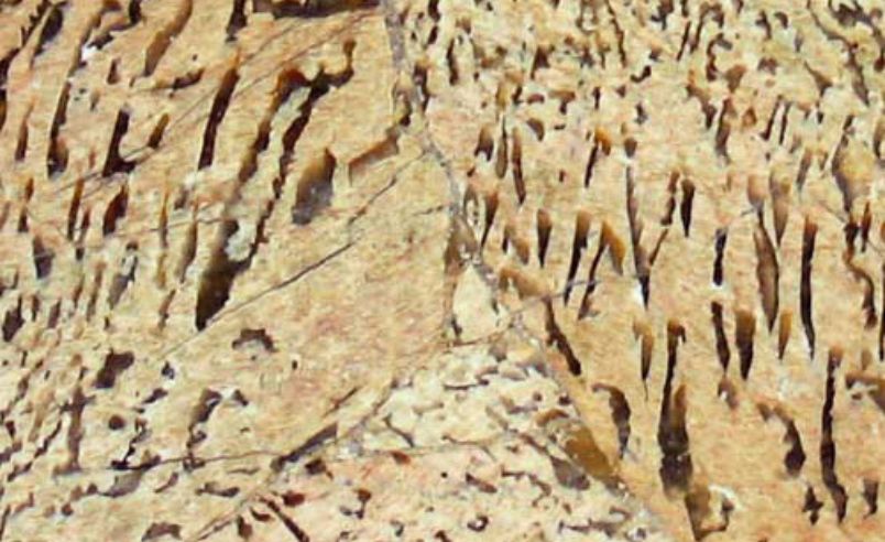 Zebradorite